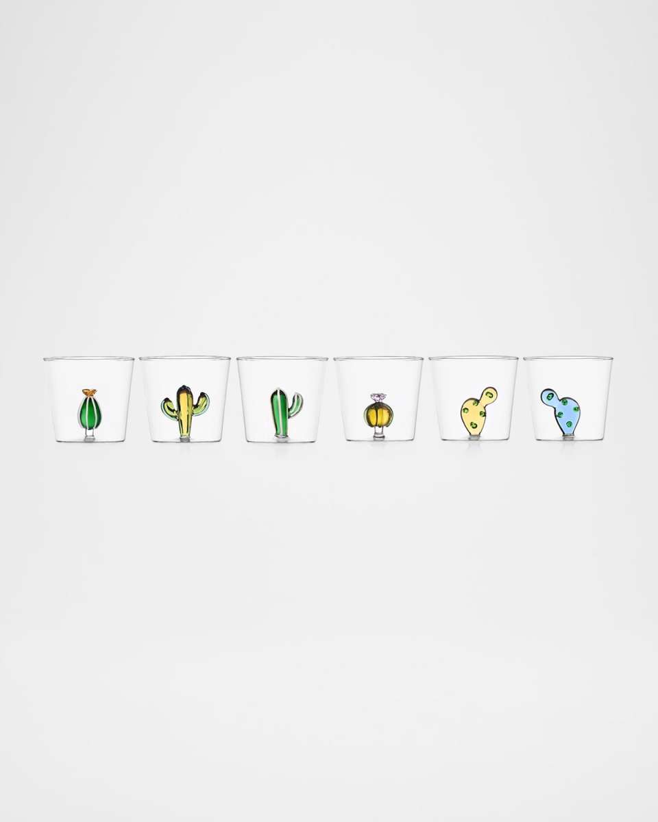 Desert Plants Assorted Tumblers, Set of 6